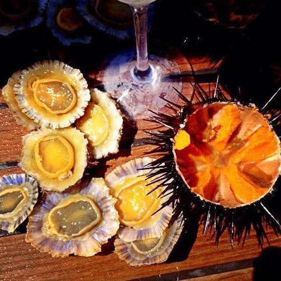 Ricci e patelle di mare