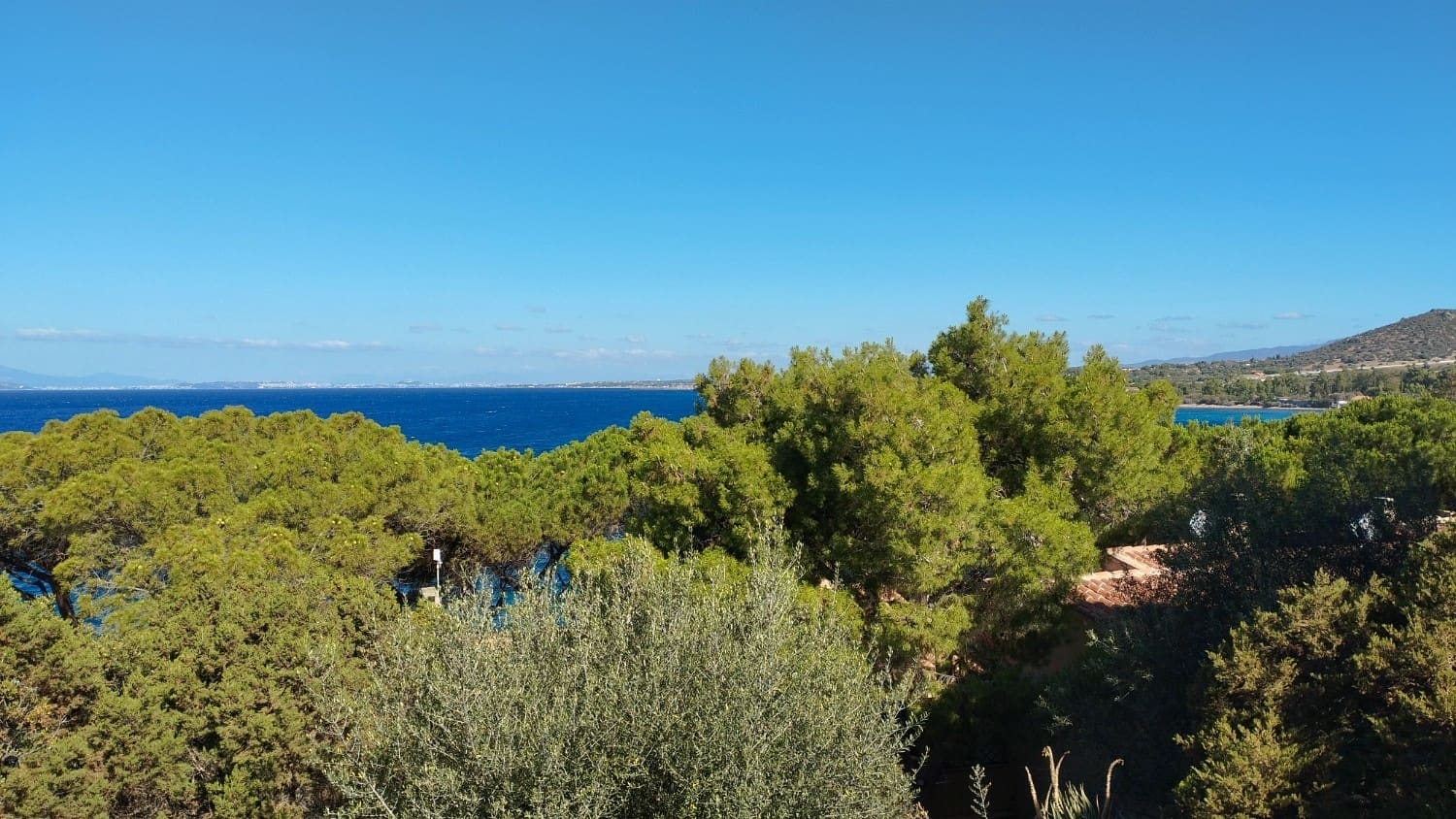 Vista dalla casa: pini e mare